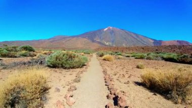 Abstract Caption - Various Views