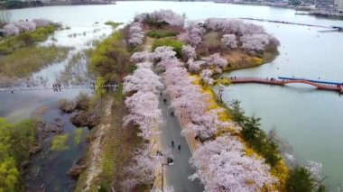 A lovely Nature scenery