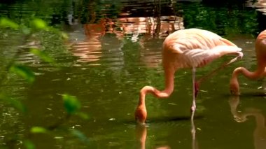 A lovely Nature scenery