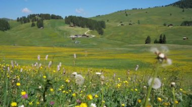 An Abstract creative caption