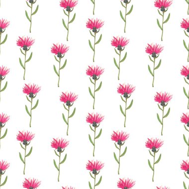 Suluboya çiçekleri, yaprakları, tomurcukları ve pembe, mor, sarı, mavi, beyaz