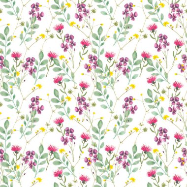   Floral watercolor seamless pattern on white background, hand drawn