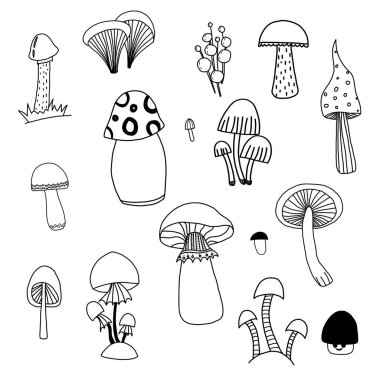 Mantar vektörü, el çizimi, grafikler, set