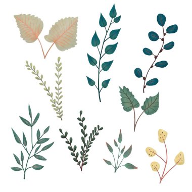 Renkli çiçek elementleri, metin ve kırtasiye için harika..