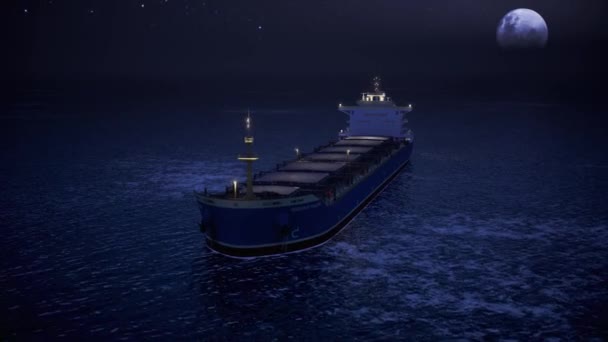 Night Cargo Ship Floating Dry Cargo Ship Offshore Open Sea — Stok video