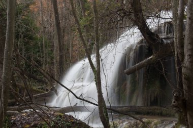 Natural source of water in the forest