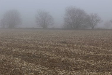 Sis ve soğuk ile hasat edilen tarla