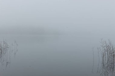 Gölün kıyısında ve sisli