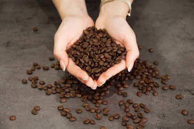 Close-up of medium roast coffee beans in female hands. The photography highlights the processing of the coffee, showing texture and color, perfect for topics related to coffee production, roasting and quality.  clipart