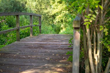 Ormanda küçük bir derenin üzerindeki tahta köprü. Yüksek kalite fotoğraf