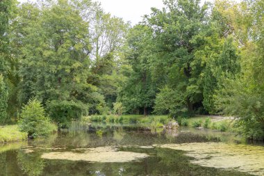 Bir pandona yakın çekim