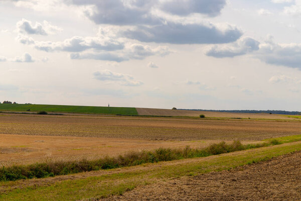 Панорамный вид на поле с деревьями в ряд и соломенный рулон. Высокое качество фото