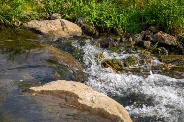 Küçük bir dereden geçen kayanın yanında küçük bir şelale. Yüksek kalite fotoğraf