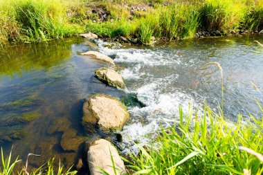 Küçük bir dereden geçen kayanın yanında küçük bir şelale. Yüksek kalite fotoğraf