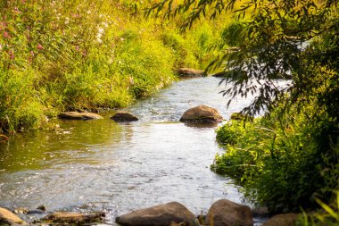 Suda kayalar ve girdaplar olan vahşi bir nehir. Yüksek kalite fotoğraf