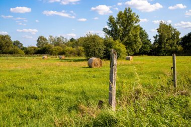 Mavi gökyüzü ve saman rulosuyla çimen manzarası. Yüksek kalite fotoğraf