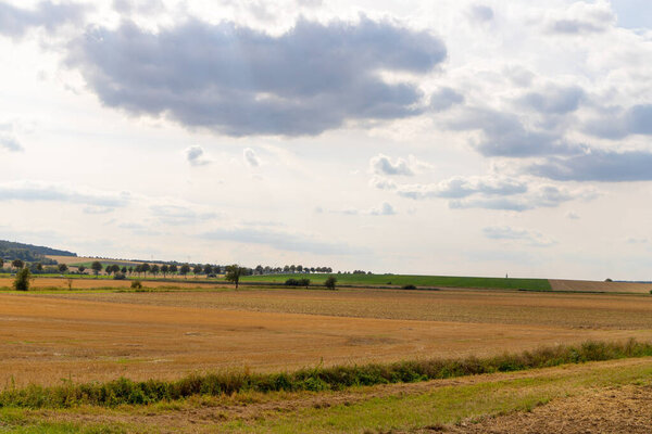 Панорамный вид на поле с деревьями в ряд и соломенный рулон. Высокое качество фото