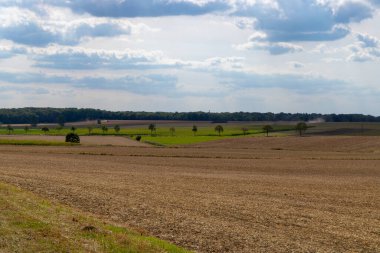 Toprak arazide bir tabela. Yüksek kalite fotoğraf