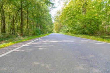 Yol kenarında bir tabela. Yüksek kalite fotoğraf