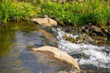 Küçük bir dereden geçen kayanın yanında küçük bir şelale. Yüksek kalite fotoğraf