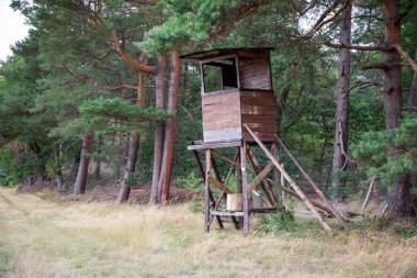 Ormanın en yüksek yerindeki avcı odunu. Yüksek kalite fotoğraf