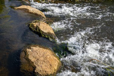 Küçük bir dereden geçen kayanın yanında küçük bir şelale. Yüksek kalite fotoğraf