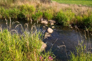 Küçük bir dereden geçen kayanın yanında küçük bir şelale. Yüksek kalite fotoğraf