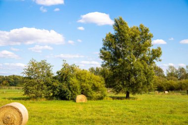 Saman balyası ve mavi gökyüzü olan bir çayır manzarası.