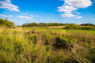 Yeşil çayır ve mavi gökyüzünün panoramik görüntüsü. Önünde bir nehir var. Yüksek kalite fotoğraf