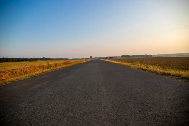 Tarlaları ve ağaçları olan şehir merkezi bir yol. Yüksek kalite fotoğraf