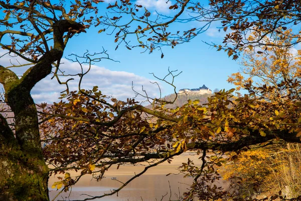 Sonbaharda dallar ve renkli yapraklar arasında bir şato. Yüksek kalite fotoğraf