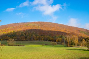 Sonbaharda tepelik bir manzaranın manzarası. Yüksek kalite fotoğraf