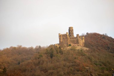 Ormandaki tepede eski bir kale, Maus am Rhein Kalesi..