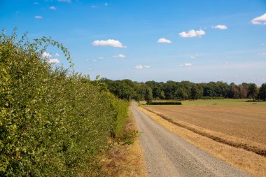 Toprak yolu ayrılık ve çit olan bir arazi manzarası. Yüksek kalite fotoğraf