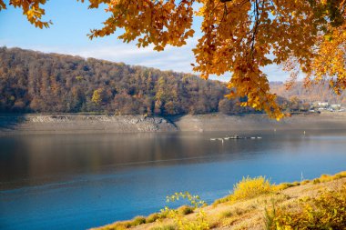 Sonbaharda göl, renkli sonbahar ormanı ve arka planda birkaç ev. Yüksek kalite fotoğraf