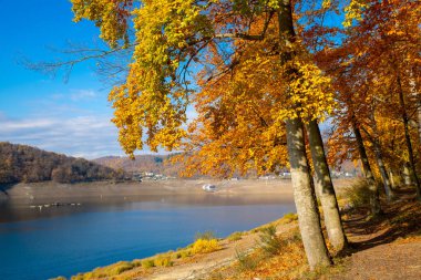 Sonbaharda göl, renkli sonbahar ormanı ve arka planda birkaç ev. Yüksek kalite fotoğraf