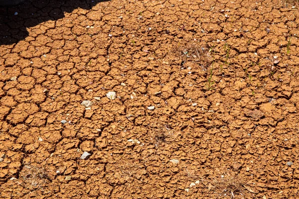Dried clay soil. High quality photo