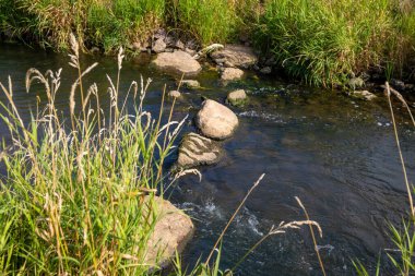 Küçük bir dereden geçen kayanın yanında küçük bir şelale. Yüksek kalite fotoğraf