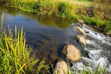 Küçük bir dereden geçen kayanın yanında küçük bir şelale. Yüksek kalite fotoğraf