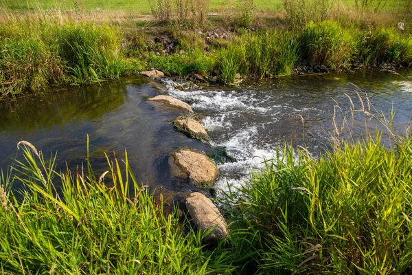 Küçük bir dereden geçen kayanın yanında küçük bir şelale. Yüksek kalite fotoğraf