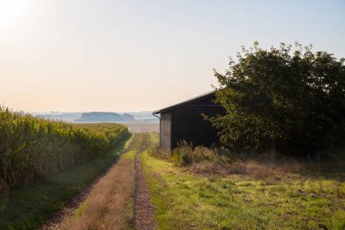 Eski bir ahır ve mısır tarlasının yanındaki toprak yolda. Yüksek kalite fotoğraf