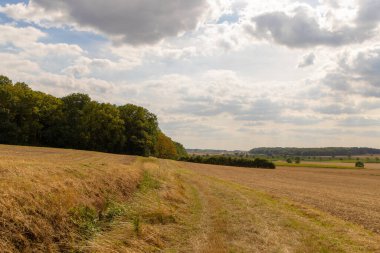 Mavi gökyüzü ve küçük beyaz bulutları olan tepelik bir tarım arazisi manzarası. Arka planda birkaç ağaç var. Yüksek kalite fotoğraf