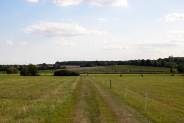 Toprak yolu ayrılık ve çit olan bir arazi manzarası. Yüksek kalite fotoğraf