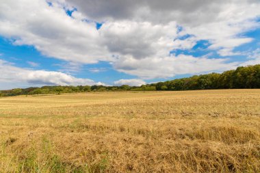 Mavi gökyüzü ve küçük beyaz bulutları olan tepelik bir tarım arazisi manzarası. Arka planda birkaç ağaç var. Yüksek kalite fotoğraf