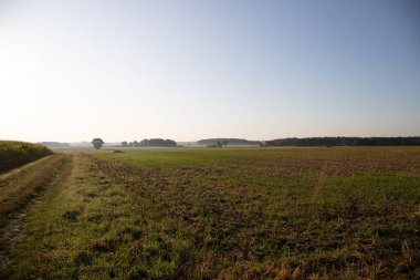 Toprak yolu ayrılık ve çit olan bir arazi manzarası. Yüksek kalite fotoğraf