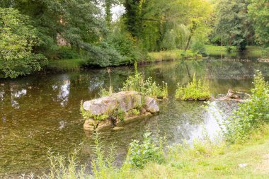 Bir pandona yakın çekim