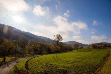 Sonbaharda tepelik bir manzaranın manzarası. Yüksek kalite fotoğraf