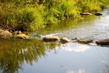 Suda kayalar ve girdaplar olan vahşi bir nehir. Yüksek kalite fotoğraf