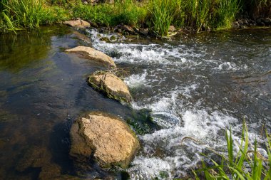 Küçük bir dereden geçen kayanın yanında küçük bir şelale. Yüksek kalite fotoğraf