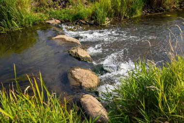 Küçük bir dereden geçen kayanın yanında küçük bir şelale. Yüksek kalite fotoğraf